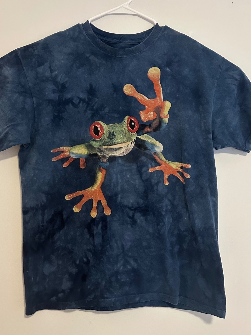 The Mountain Frog Graphic Acid Wash T-Shirt XL Blue Y2K Short Sleeve